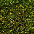 Bandit Carp Zanęta Method Ready 750g - Citro Squid