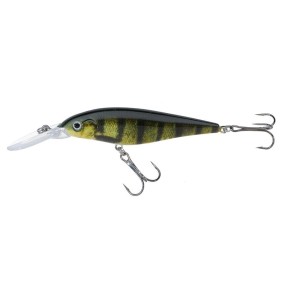 Jaxon Wobler Atract Hoff C