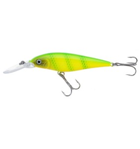 Jaxon Wobler Atract Hoff D