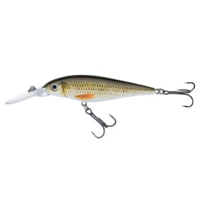 Jaxon Wobler Atract Hoff L