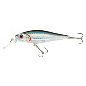 Jaxon Wobler Atract Oskar A