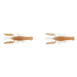72594.Png