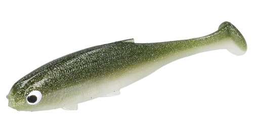 Real fish olive bleak.jpg