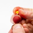 sweetcorn screw 1.jpg