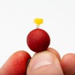sweetcorn screw 2.jpg
