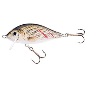 Jaxon Wobler HS Karaś SW KSX