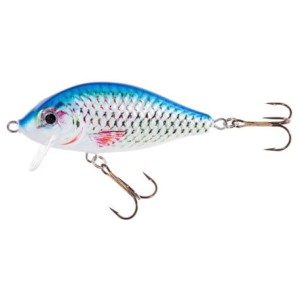 Jaxon Wobler HS Karaś SW NAX