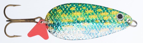 BW-JKA NSL.jpg