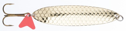 BW-JUC GL.jpg