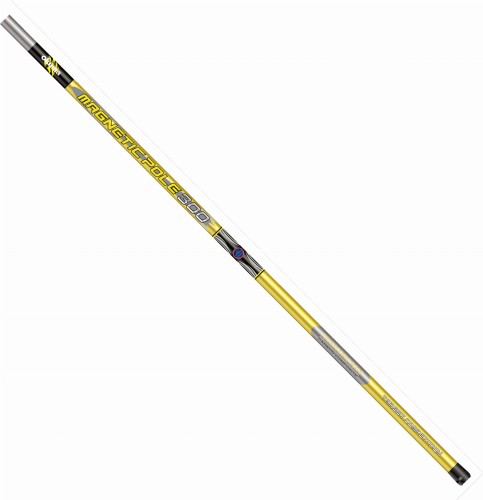 Magnetic Pole 300.jpg