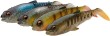 Craft Clearwater mix.jpg