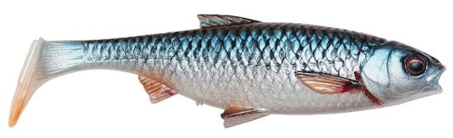River Roach 1.jpg