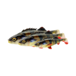 4d perch bulk.jpg