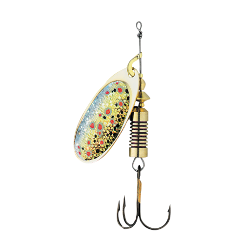 Nature Brown Trout.jpg