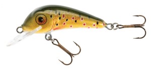 Jaxon Wobler HS Senso QM ED