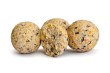 euro_boilies_czosnek_garlic_1.jpg