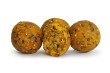euro_boilies_wanilia_vanilla_1.jpg