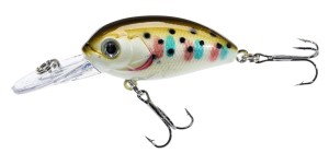 Jaxon Wobler Atract Aris A