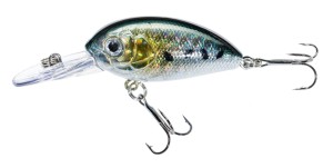 Jaxon Wobler Atract Aris C