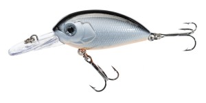 Jaxon Wobler Atract Aris E