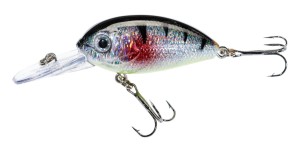 Jaxon Wobler Atract Aris F