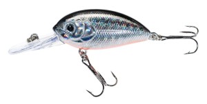 Jaxon Wobler Atract Aris J