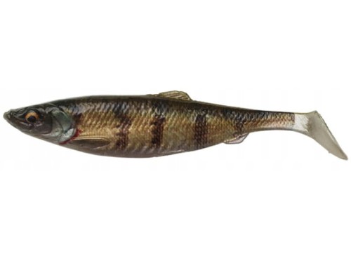 4D Herring Zander new.jpg