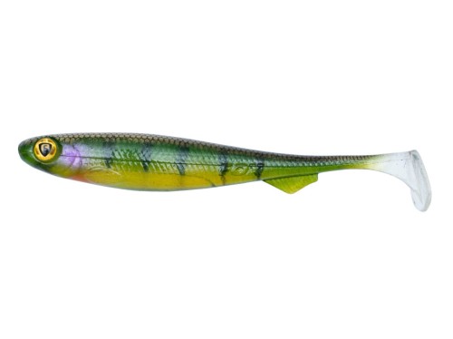 Slick stickleback .jpg