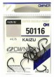 Owner Kaizu 50116.jpg