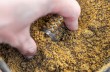 Koszyk-Preston-Hexmesh-Plastic-Bullet-Feeder-L-40g-Marka-Preston.jpg