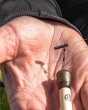 PRESTON-stopery-STOPZ-PELLET-WAGGLER-KIT-5-sztuk-Marka-Preston.jpg