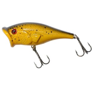 Jaxon Wobler Atract Cosma F