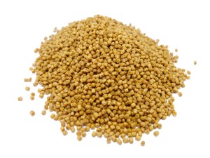 BestFeed Pellet na wagę - Orzech Tygrysi 2mm/1kg 