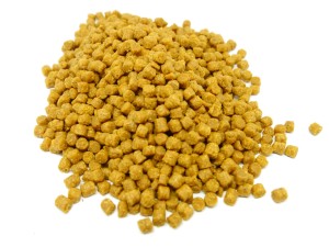 BestFeed Pellet na wagę - Orzech Tygrysi 4mm/1kg  