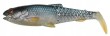 Savage-Gear-Craft-Cannibal-Paddletail-6-5cm-Roach.jpg