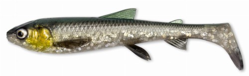 whitefish green silver.jpeg