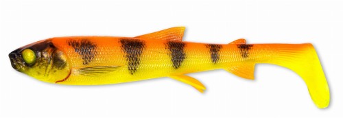 whitefish golden.jpeg