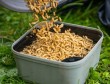 Wkladka-do-pudelka-Sitko-Guru-Maggot-Riddle-Black-Kod-producenta-GMR007.jpg