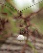 Przypony-Edges-Super-Wide-Gape-Chod-Rig-Roz-4-Fox-Marka-FOX.jpg