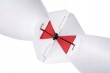RAKIETA-ZANETOWA-SPOMB-LARGE-X-BIALA-Marka-FOX.jpg