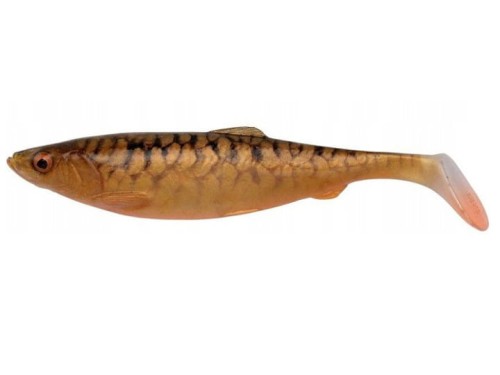 4D Herring Carp.jpg