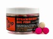 strawberry big fish pop 12.jpg