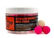strawberry big fish pop 15.jpg