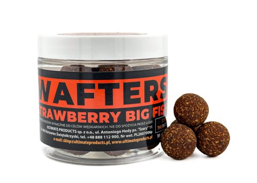 strawberry big fish wafters new.jpg
