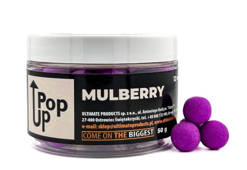 mulbery 12.jpg