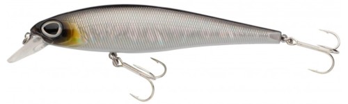 fat bullet baitfish.jpg
