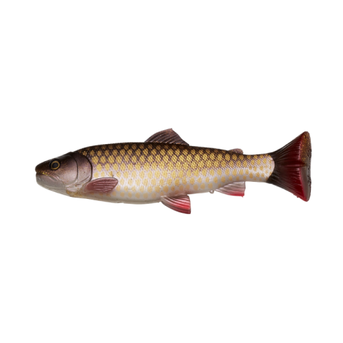 3D Craft Trout Dirty.Png