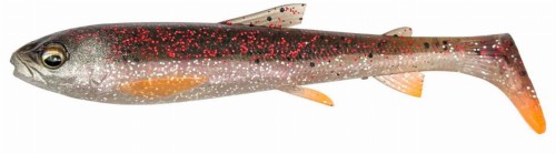 Whitefish bleak 12.jpg