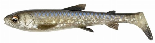 Whitefish whitefish 12.jpg