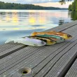Zestaw-przynet-SAVAGE-GEAR-HERRING-SHAD-V2-9CM-CLEAR-WATER-MIX-4-sztuki-Kod-producenta-1639342.jpg